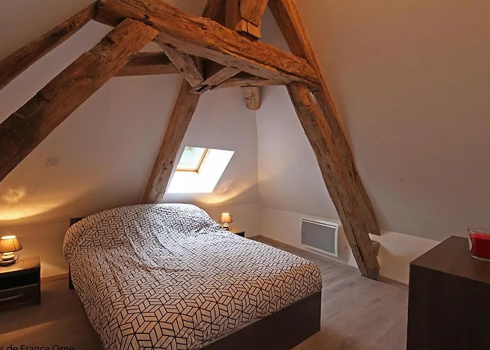 Ancien Moulin Avec Terrasse Et Animaux Acceptes - Fr-1-497-84 Ferienhaus *