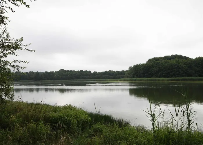 Ancien Moulin Avec Terrasse Et Animaux Acceptes - Fr-1-497-84 Ferienhaus